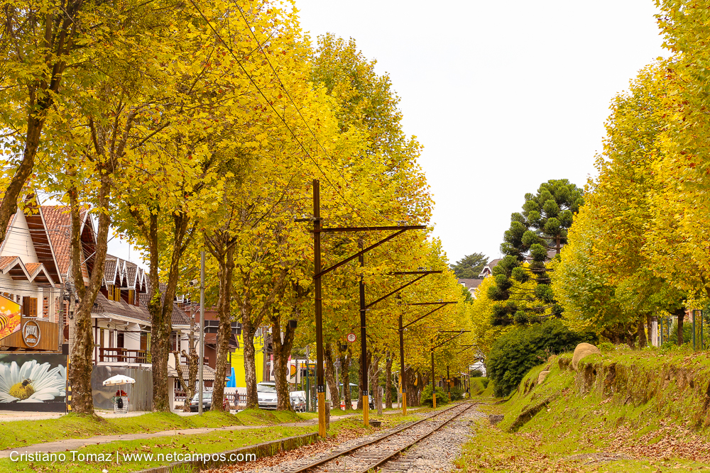 Outono-2018-campos-do-jordao-Cristiano-Tomaz-13