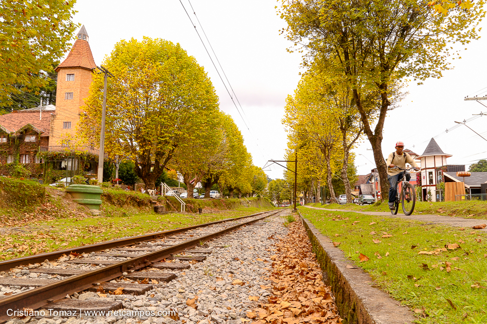 Outono-2018-campos-do-jordao-Cristiano-Tomaz-14