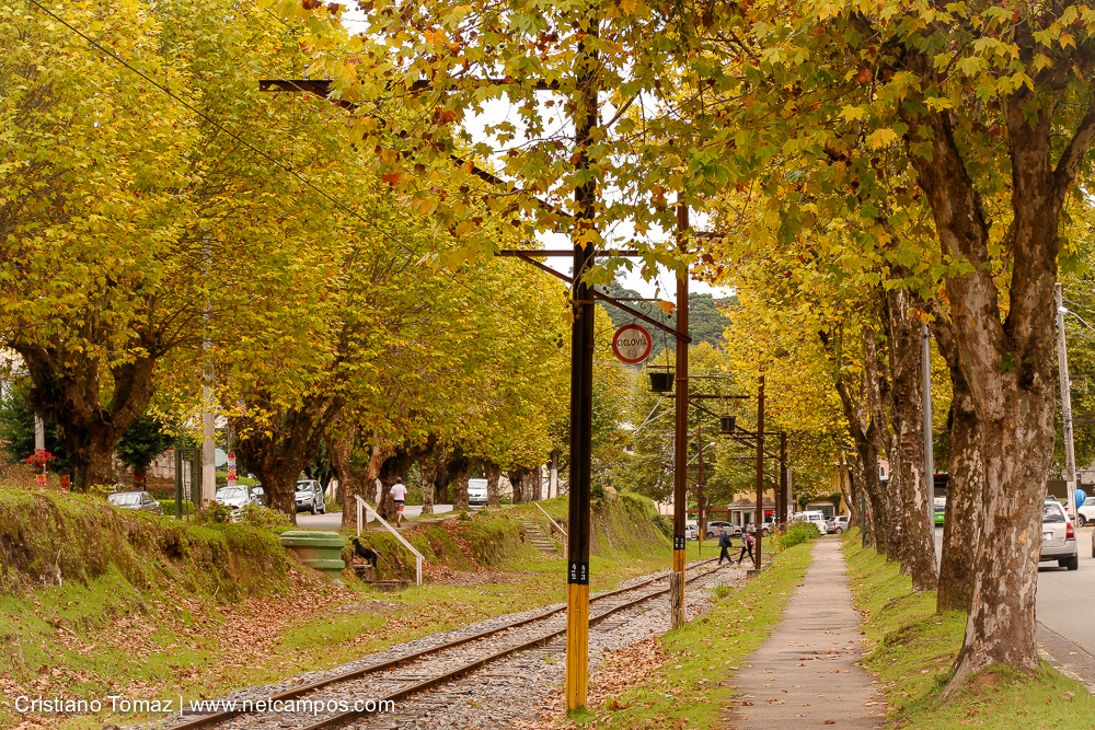Outono-2018-campos-do-jordao-Cristiano-Tomaz-16