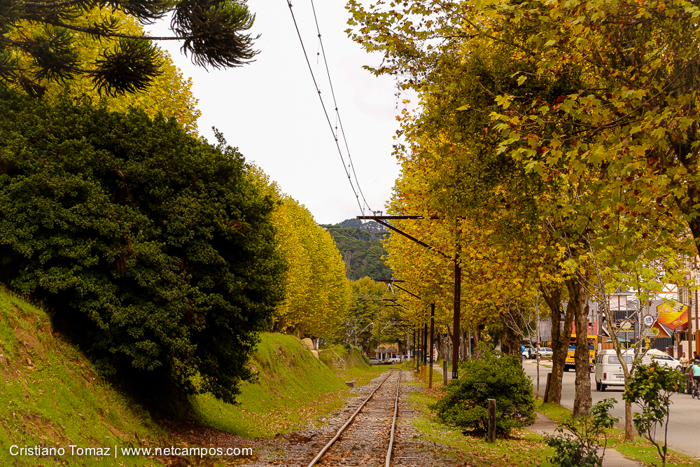 Outono-2018-campos-do-jordao-Cristiano-Tomaz-17