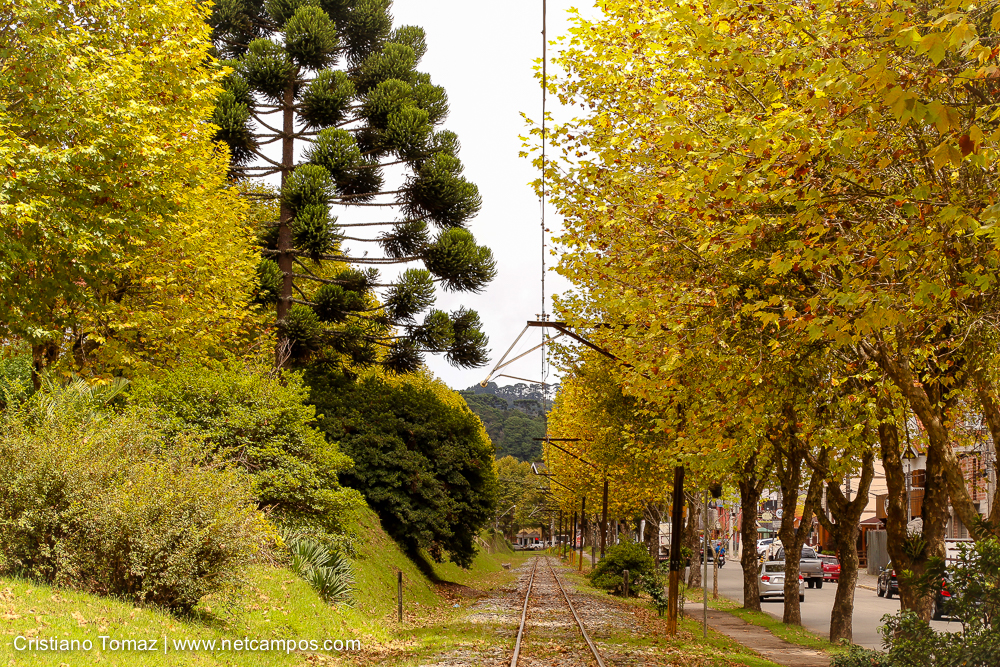 Outono-2018-campos-do-jordao-Cristiano-Tomaz-18