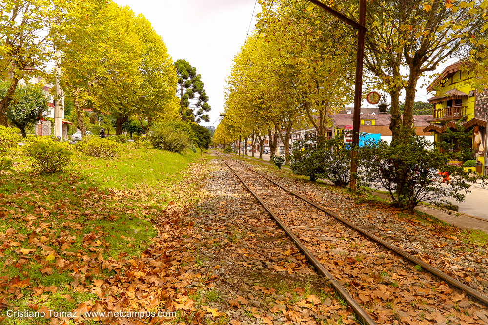 Outono-2018-campos-do-jordao-Cristiano-Tomaz-19