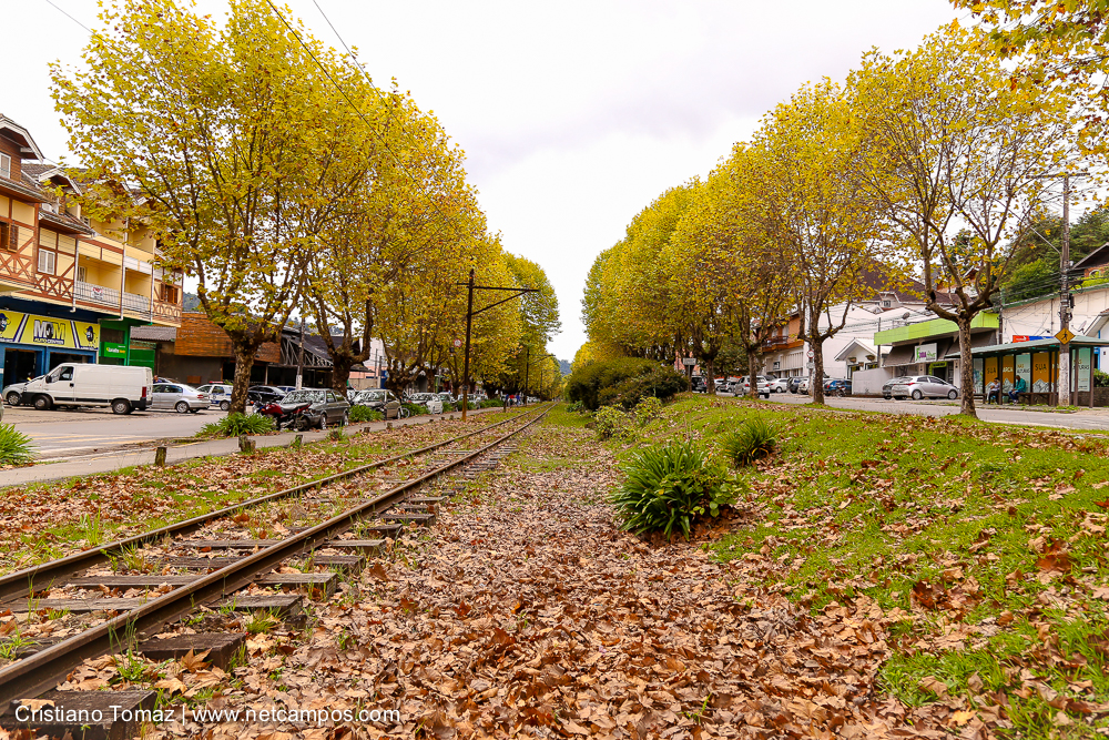 Outono-2018-campos-do-jordao-Cristiano-Tomaz-2