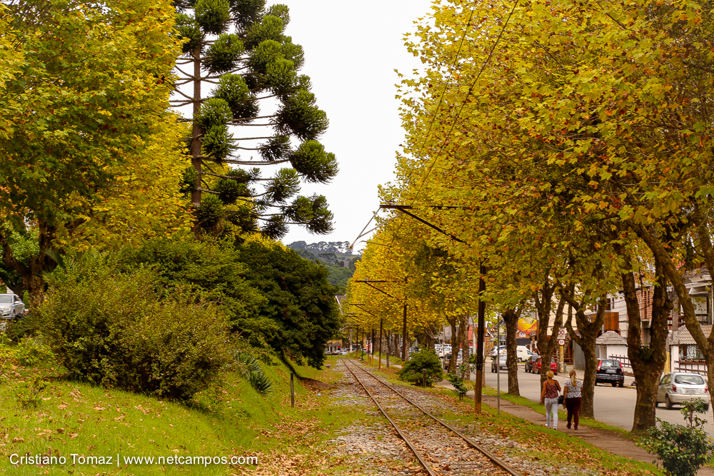 Outono-2018-campos-do-jordao-Cristiano-Tomaz-20