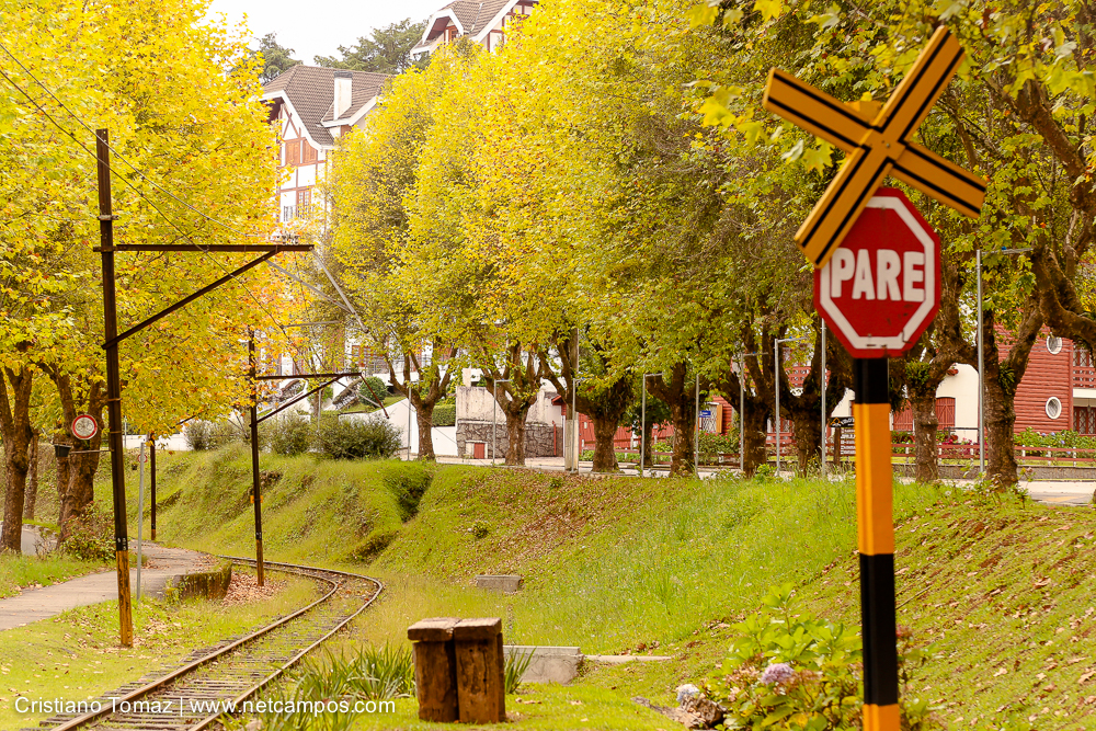 Outono-2018-campos-do-jordao-Cristiano-Tomaz-21