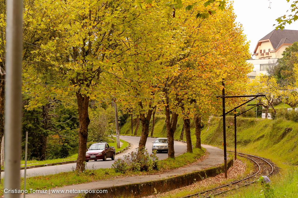 Outono-2018-campos-do-jordao-Cristiano-Tomaz-22