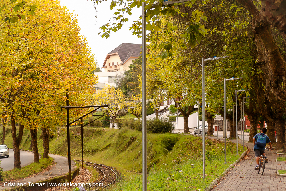 Outono-2018-campos-do-jordao-Cristiano-Tomaz-23