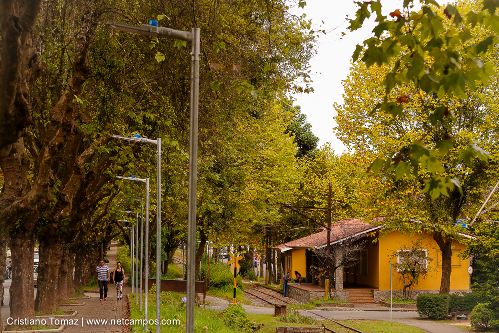 Outono-2018-campos-do-jordao-Cristiano-Tomaz-24