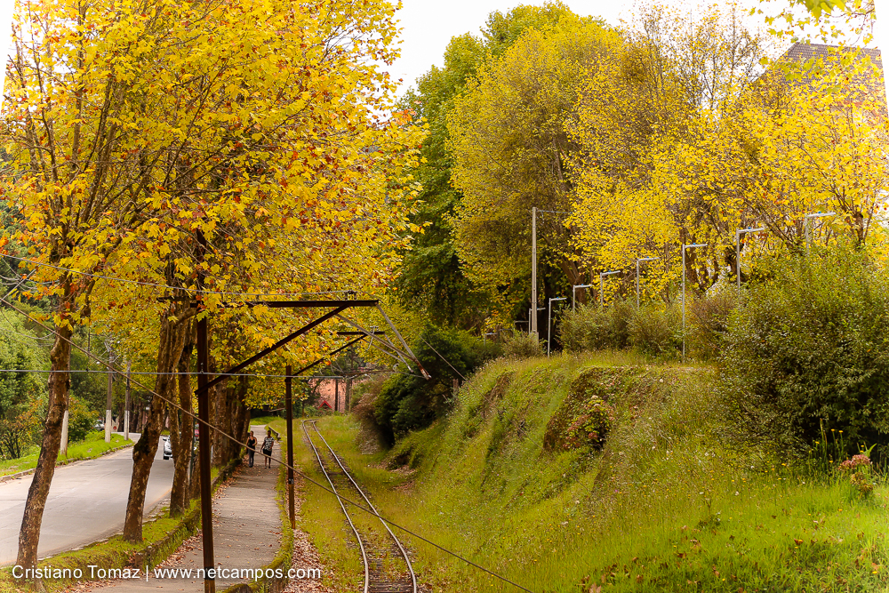 Outono-2018-campos-do-jordao-Cristiano-Tomaz-25