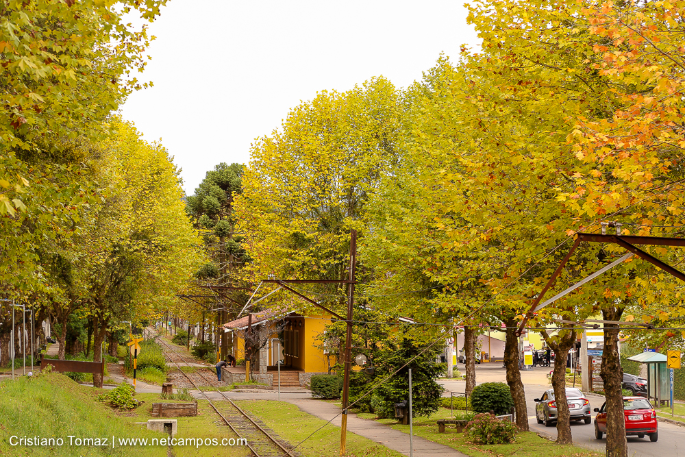Outono-2018-campos-do-jordao-Cristiano-Tomaz-26