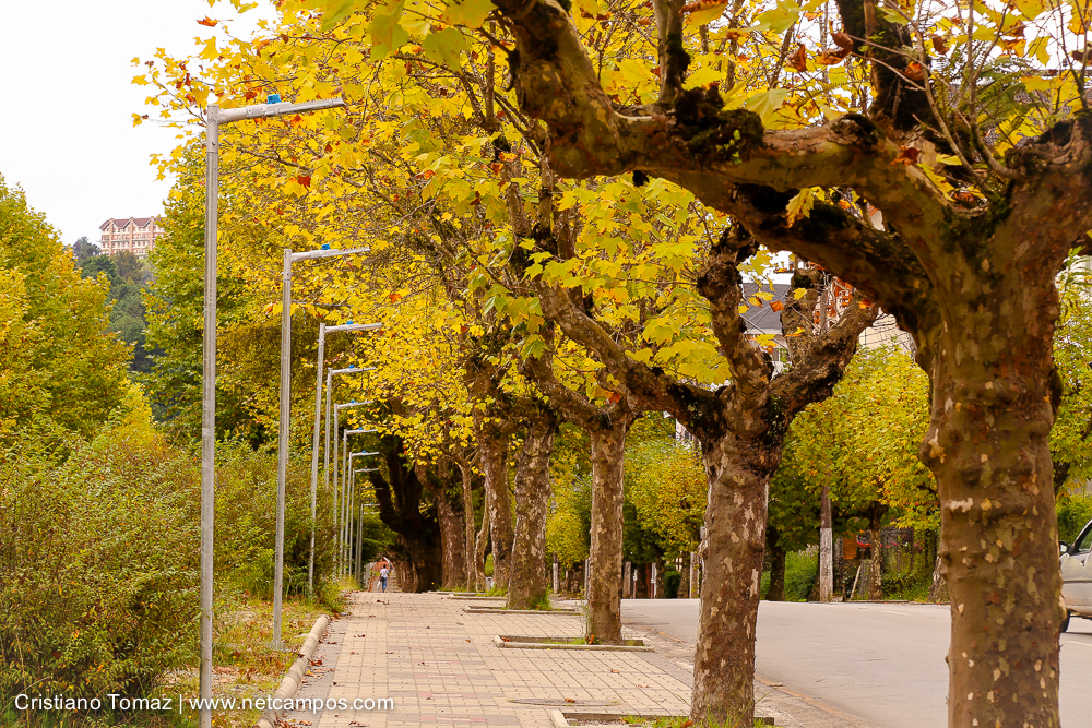 Outono-2018-campos-do-jordao-Cristiano-Tomaz-27