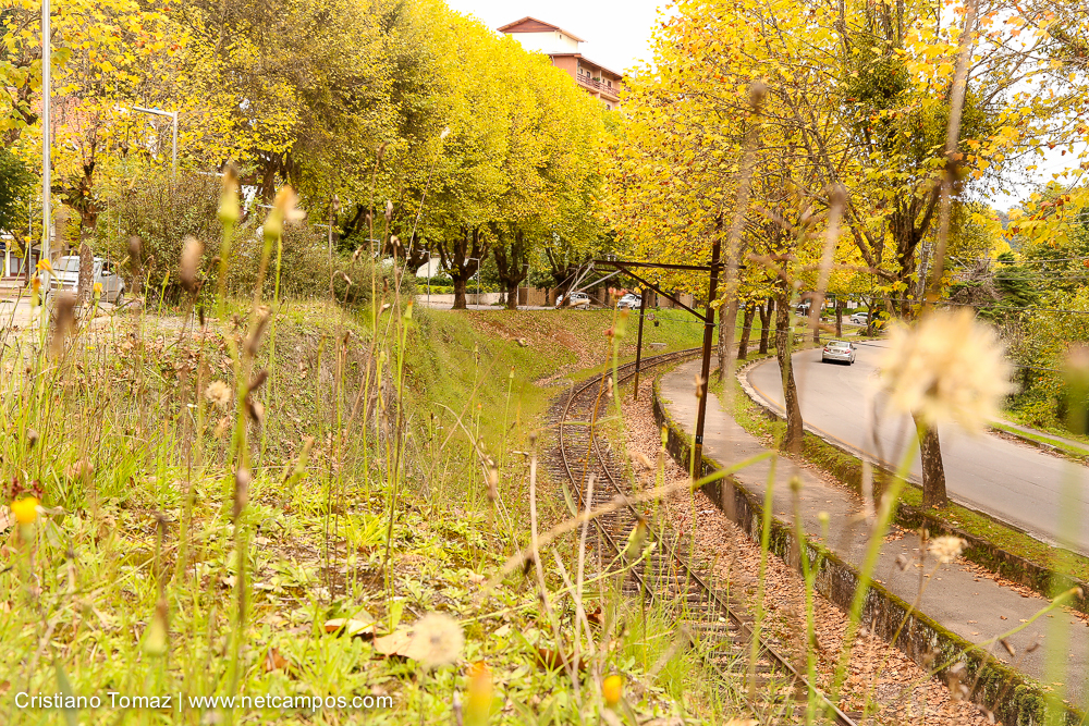 Outono-2018-campos-do-jordao-Cristiano-Tomaz-28