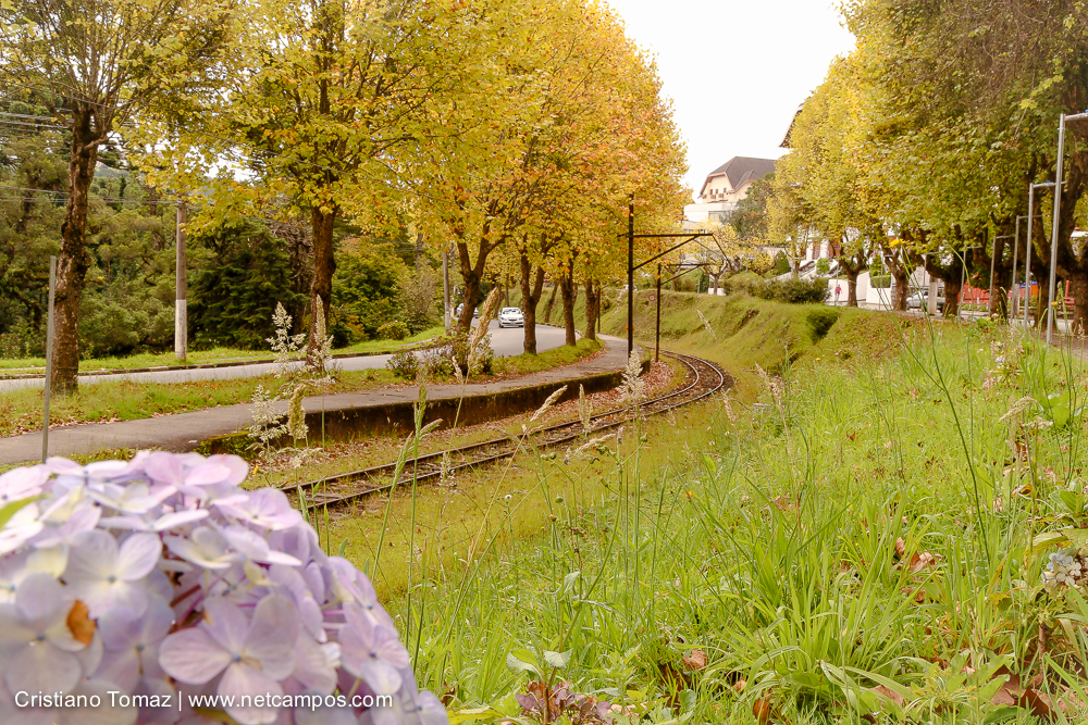 Outono-2018-campos-do-jordao-Cristiano-Tomaz-29