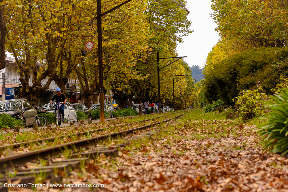 Outono-2018-campos-do-jordao-Cristiano-Tomaz-3