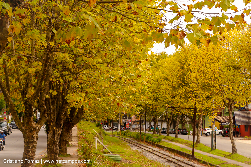 Outono-2018-campos-do-jordao-Cristiano-Tomaz-30