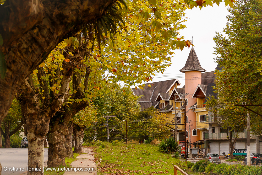 Outono-2018-campos-do-jordao-Cristiano-Tomaz-31