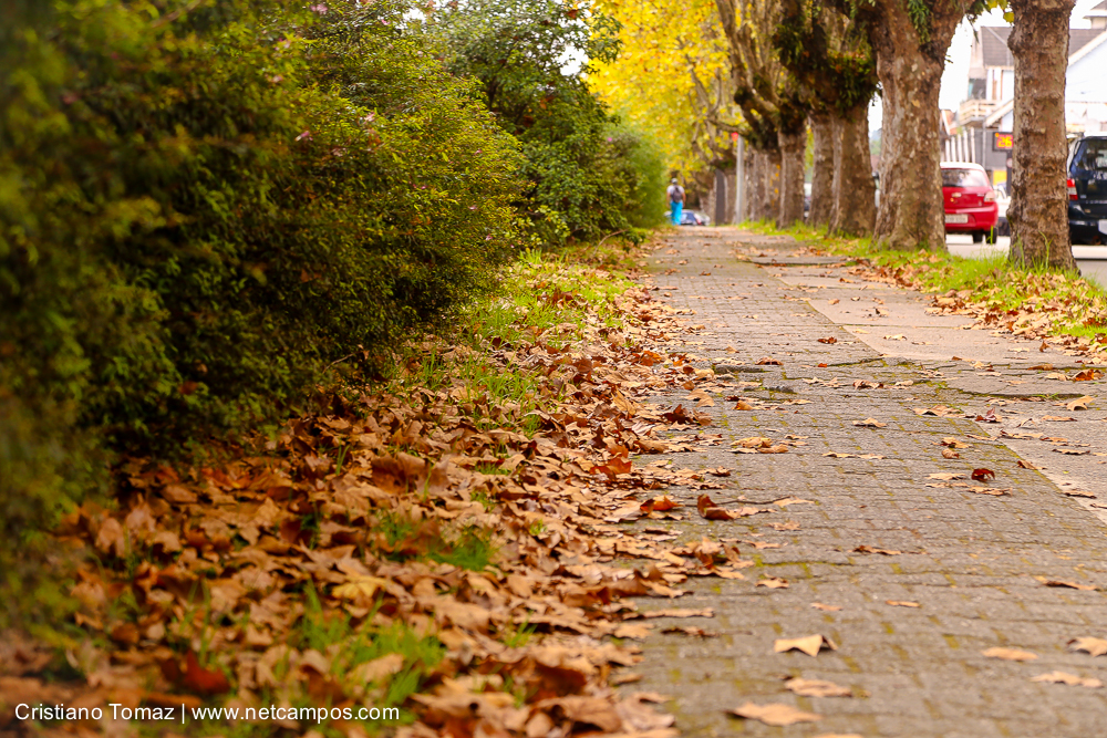 Outono-2018-campos-do-jordao-Cristiano-Tomaz-5