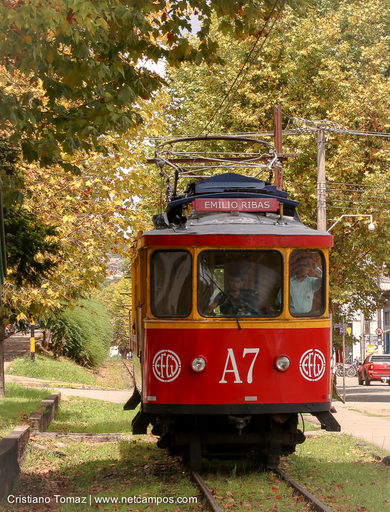 Outono-2018-campos-do-jordao-Cristiano-Tomaz-9