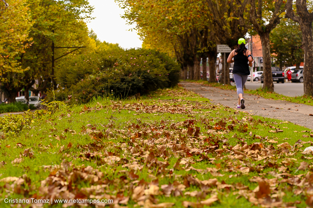 Outono-2018-campos-do-jordao-Cristiano-Tomaz