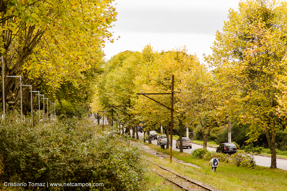 Outono-2019-Cristiano-Tomaz-24071