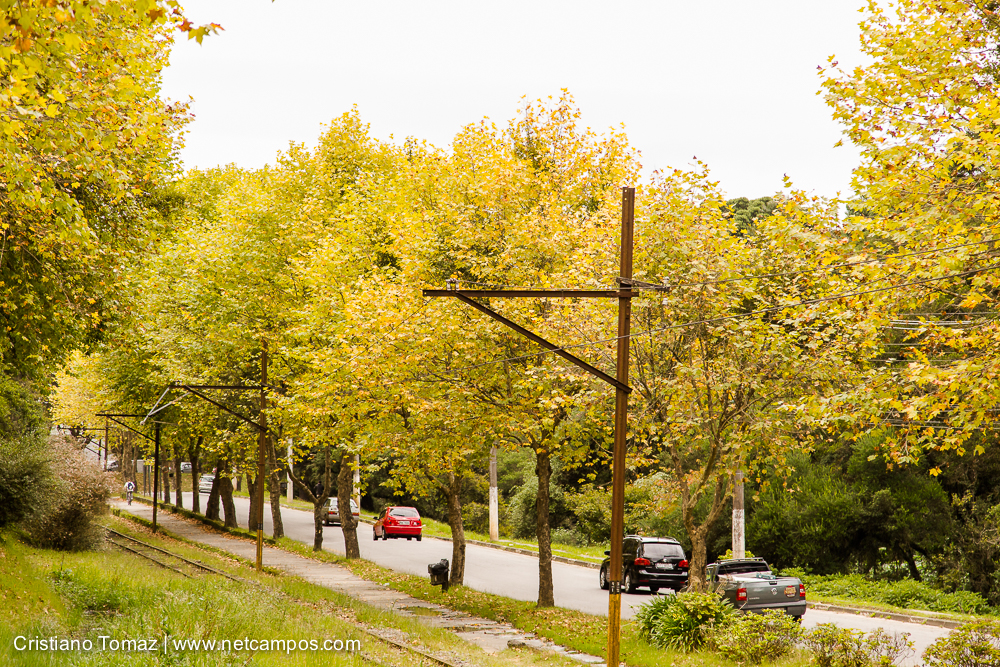 Outono-2019-Cristiano-Tomaz-24081