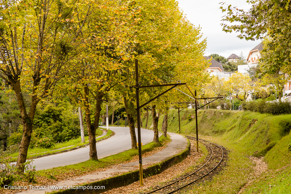 Outono-2019-Cristiano-Tomaz-24271