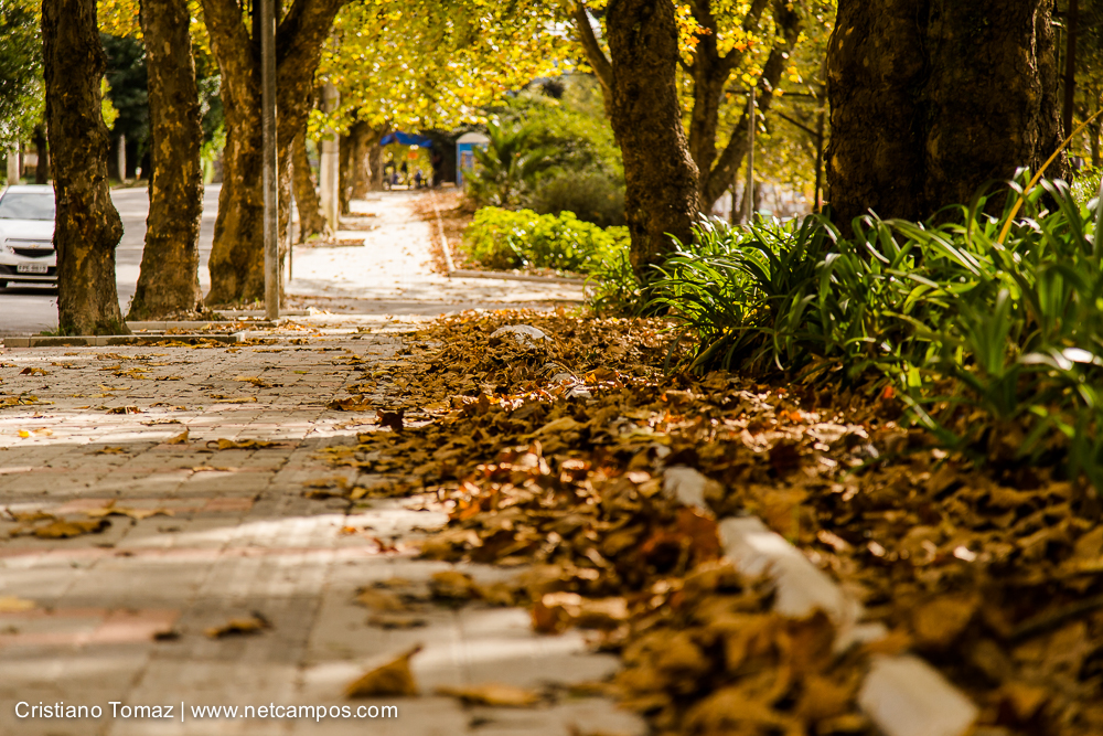 Outono-2019-Cristiano-Tomaz-24321