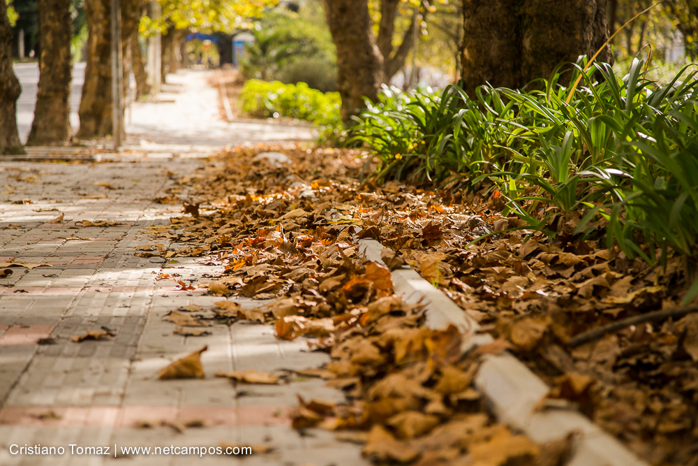 Outono-2019-Cristiano-Tomaz-24331