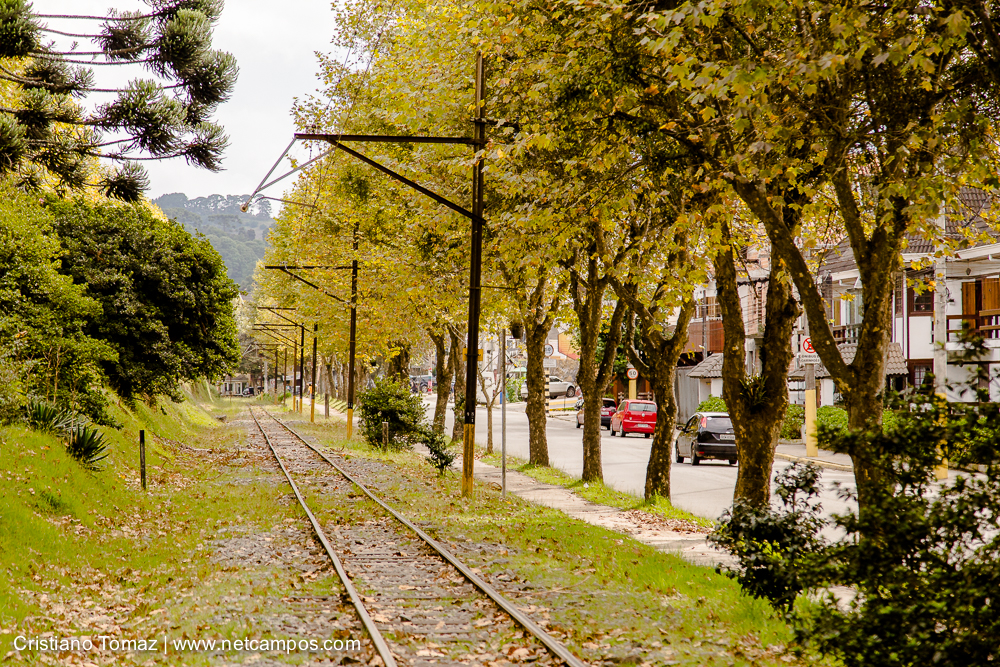 Outono-2019-Cristiano-Tomaz-24401