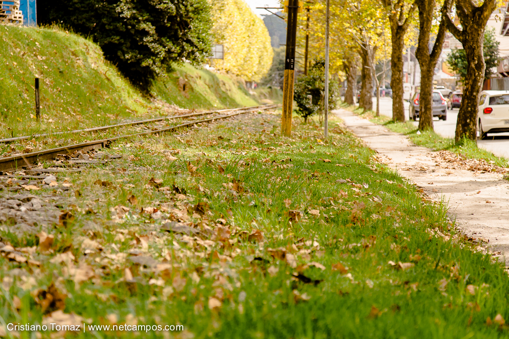 Outono-2019-Cristiano-Tomaz-24421