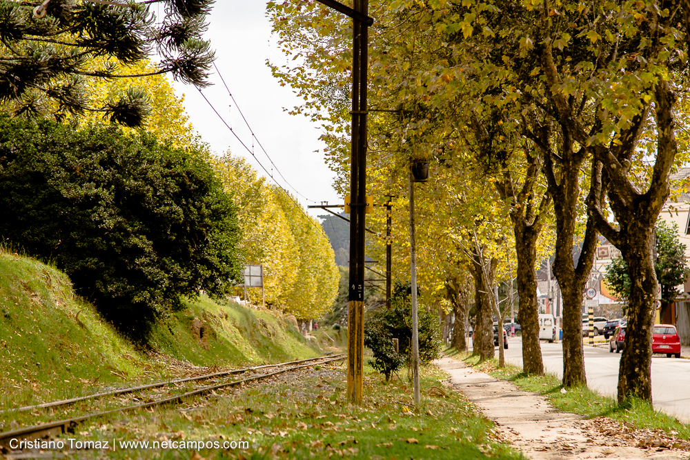 Outono-2019-Cristiano-Tomaz-24451