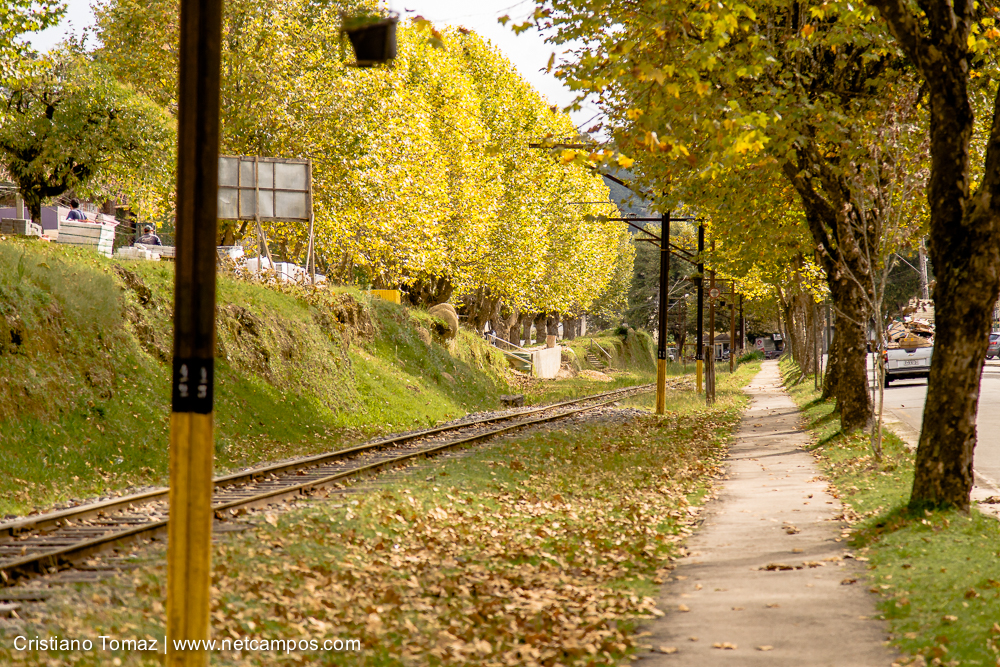 Outono-2019-Cristiano-Tomaz-24461