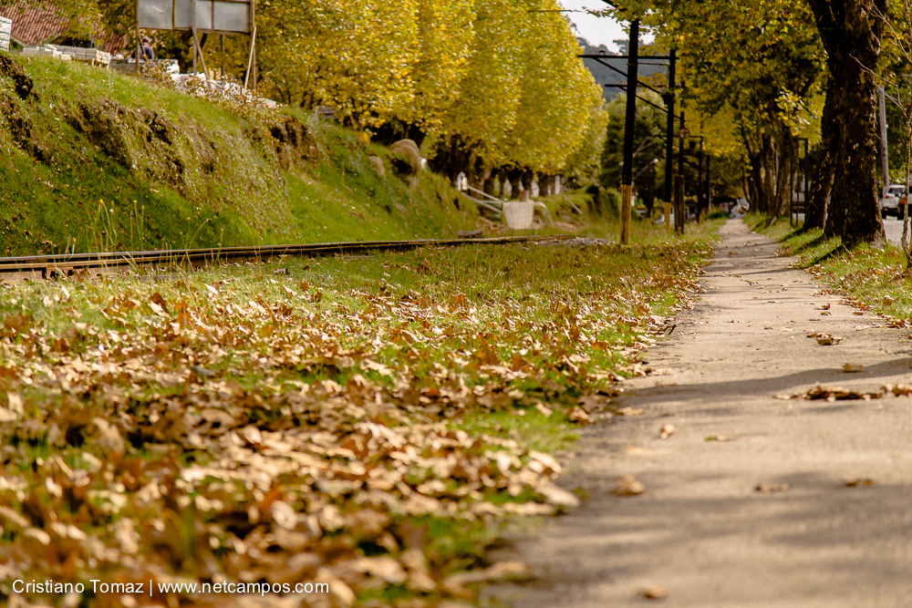 Outono-2019-Cristiano-Tomaz-24471