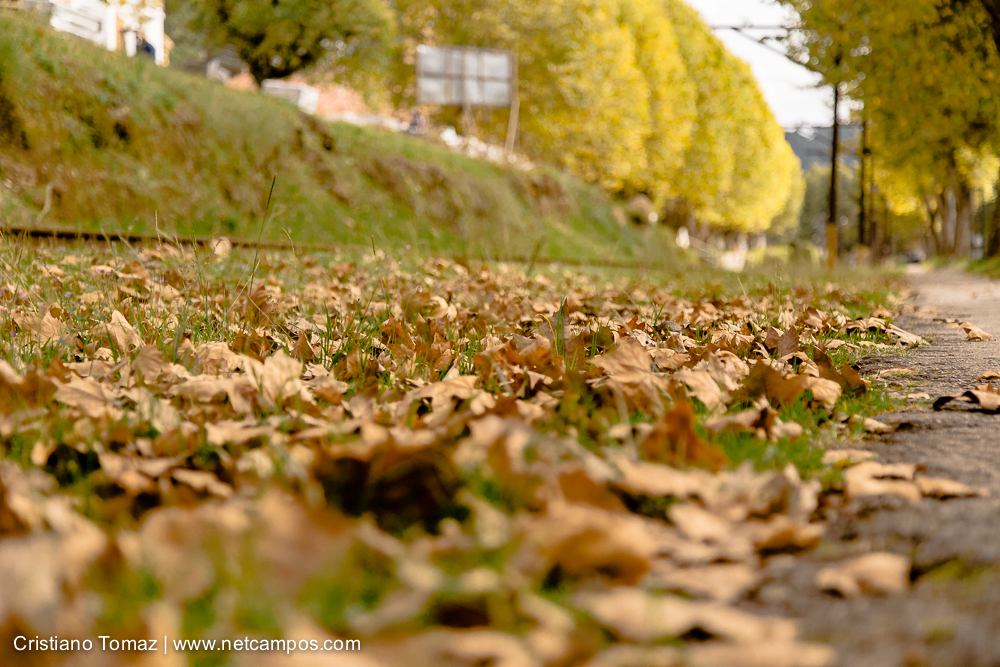 Outono-2019-Cristiano-Tomaz-24491