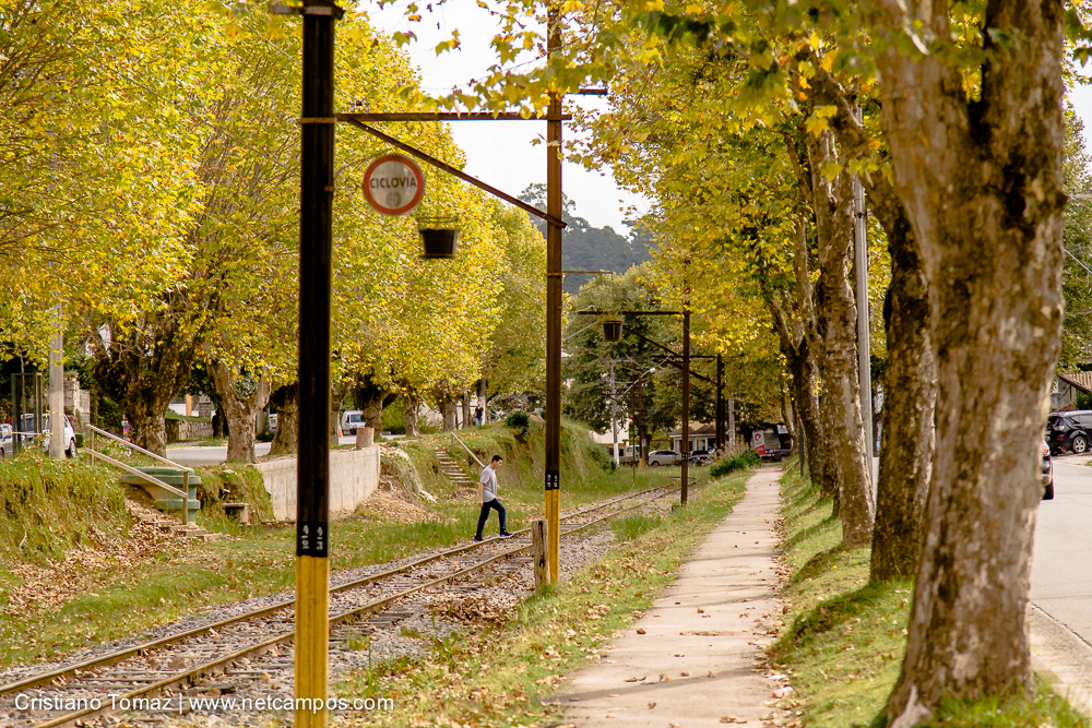 Outono-2019-Cristiano-Tomaz-24531