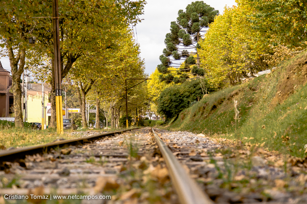 Outono-2019-Cristiano-Tomaz-24611