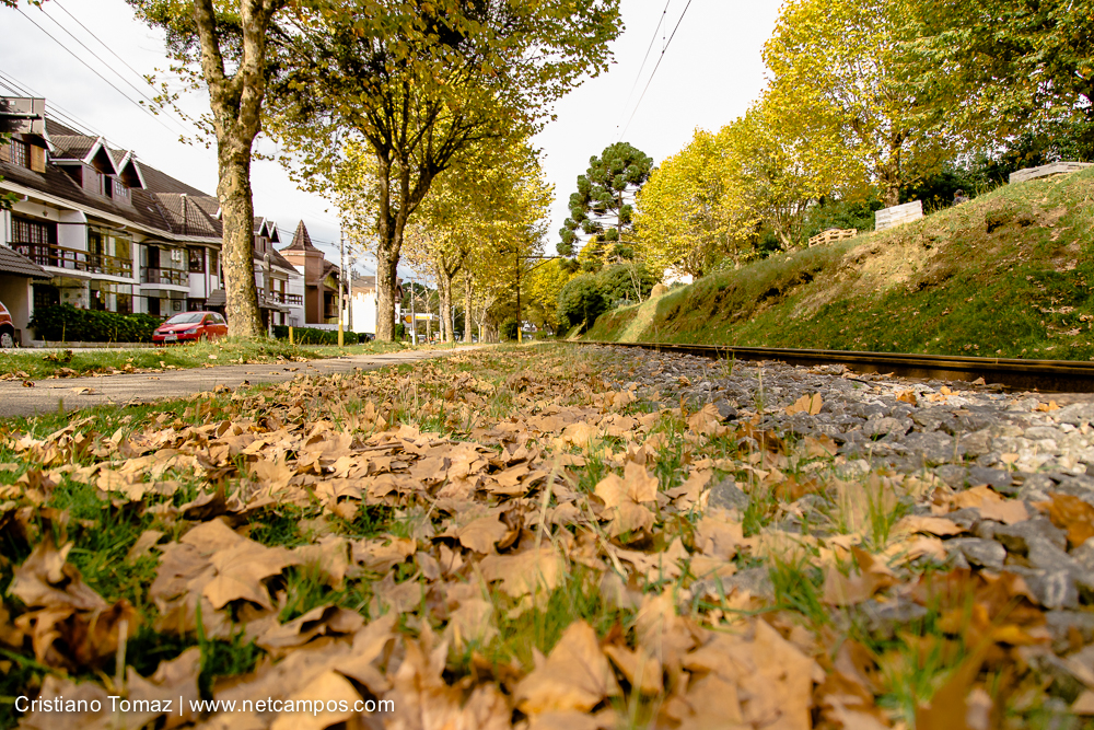 Outono-2019-Cristiano-Tomaz-24641