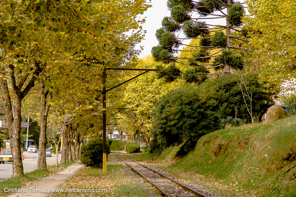 Outono-2019-Cristiano-Tomaz-24671