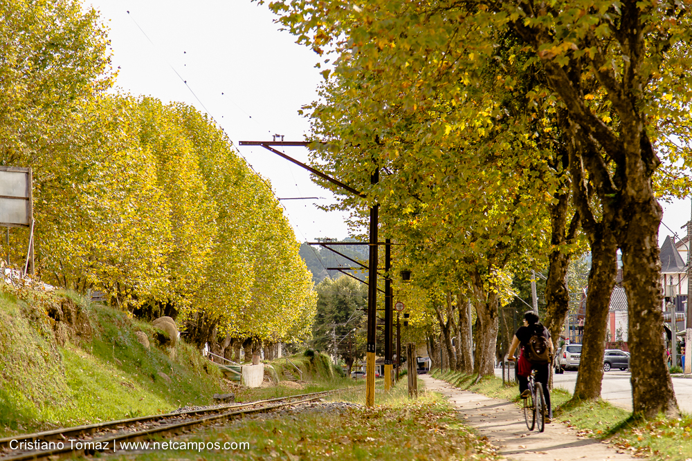 Outono-2019-Cristiano-Tomaz-24701