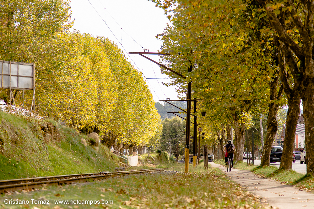 Outono-2019-Cristiano-Tomaz-24731