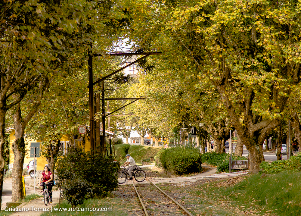 Outono-2019-Cristiano-Tomaz-24821