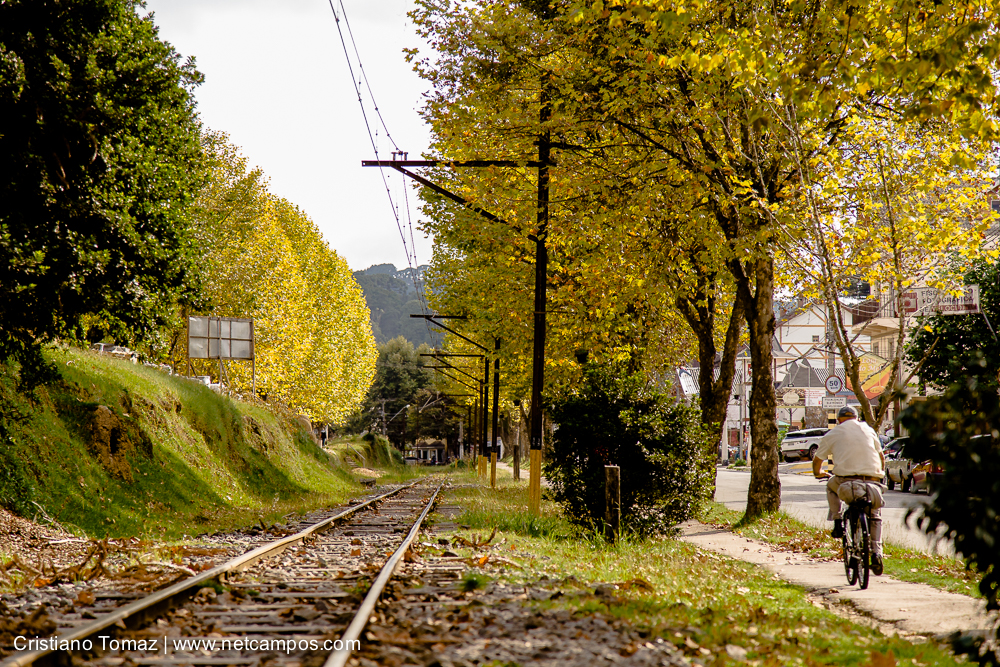 Outono-2019-Cristiano-Tomaz-24901