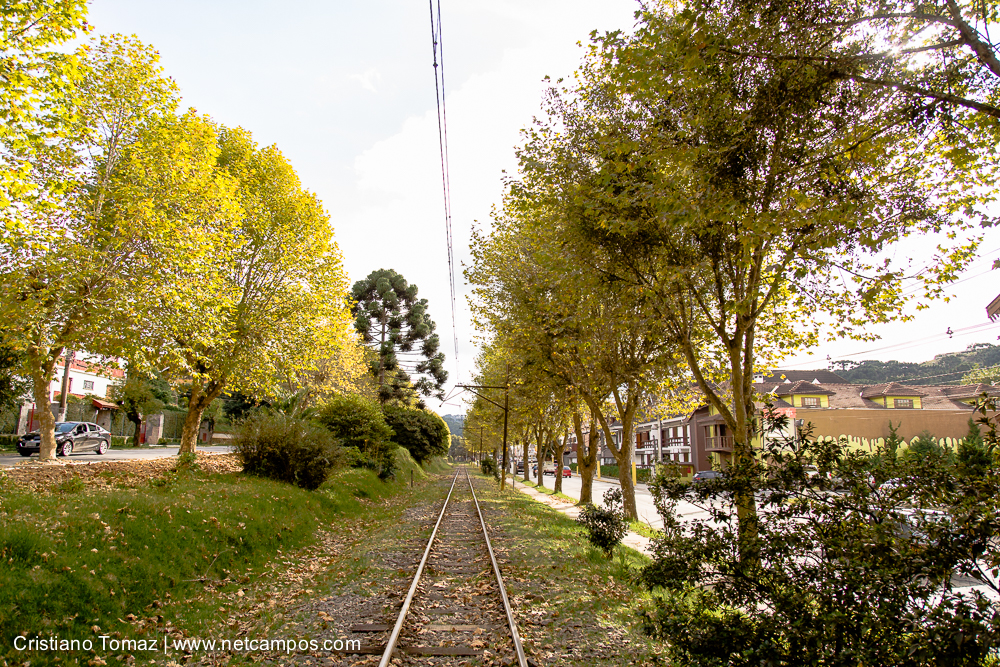 Outono-2019-Cristiano-Tomaz-24921