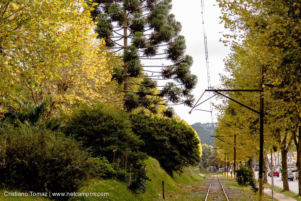 Outono-2019-Cristiano-Tomaz-24931