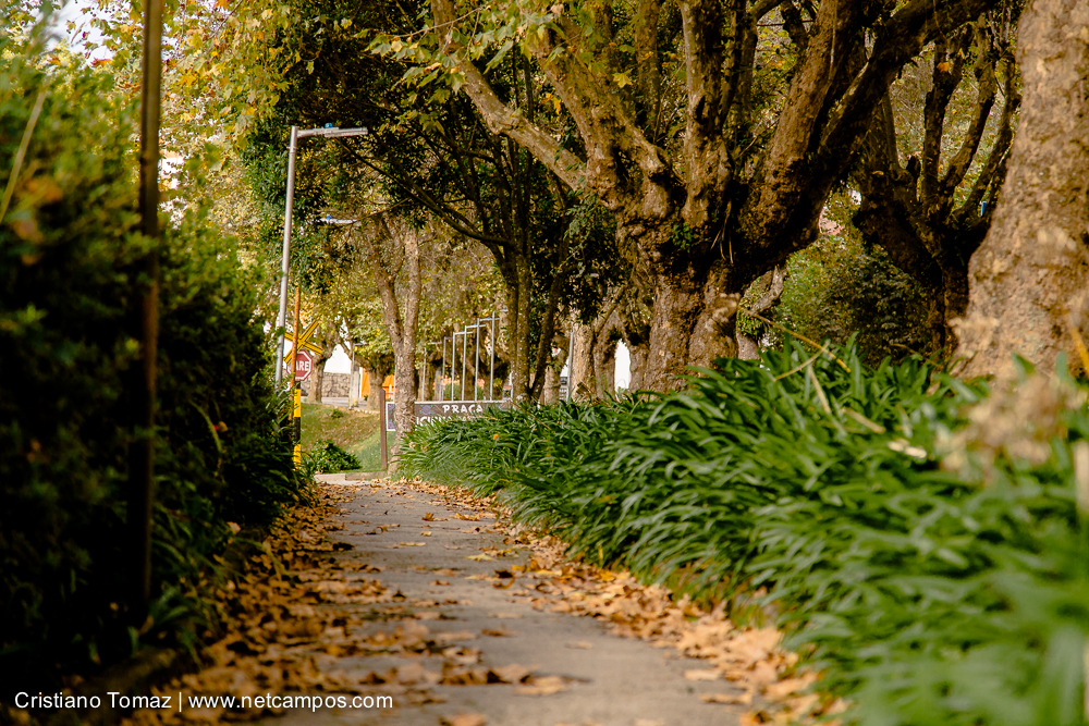 Outono-2019-Cristiano-Tomaz-24941