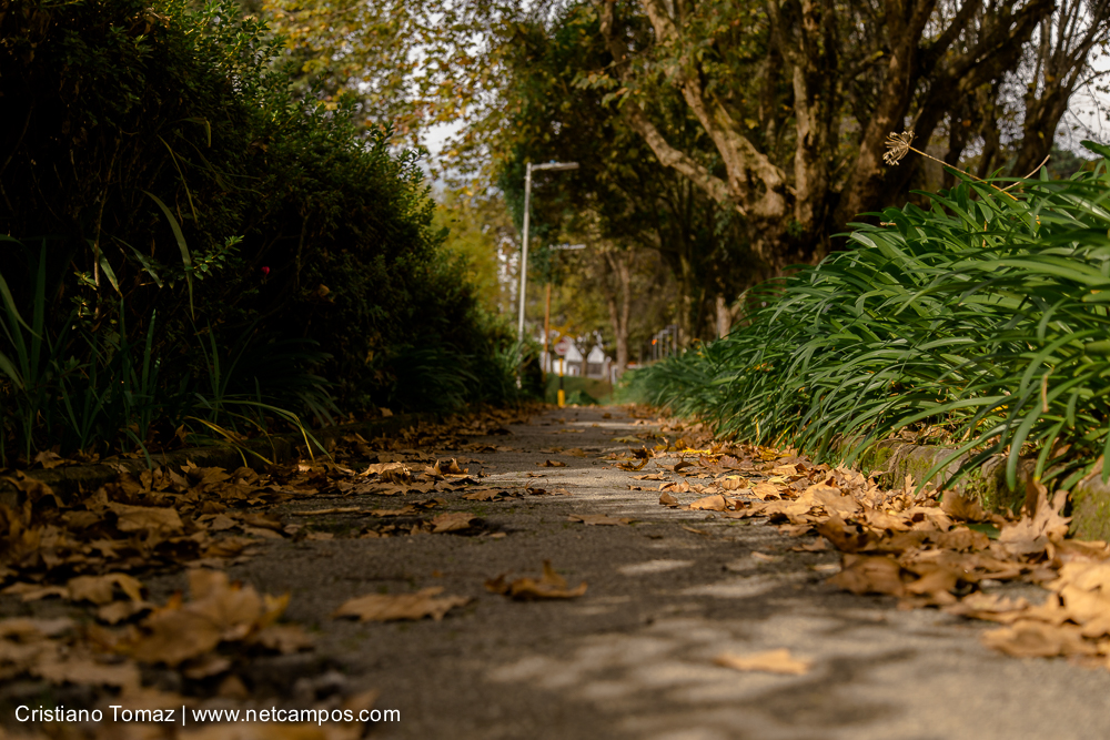 Outono-2019-Cristiano-Tomaz-24971