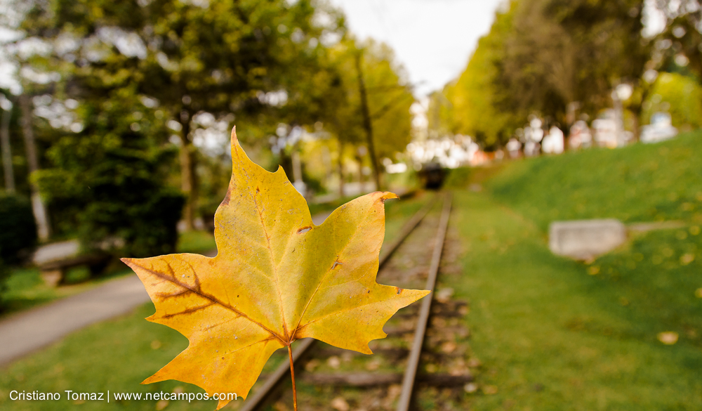 Outono-2019-Cristiano-Tomaz-25081