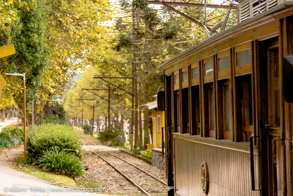 Outono-2019-Cristiano-Tomaz-25141