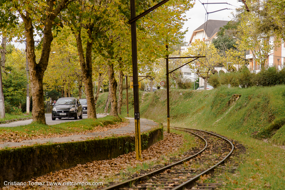 Outono-2019-Cristiano-Tomaz-25271