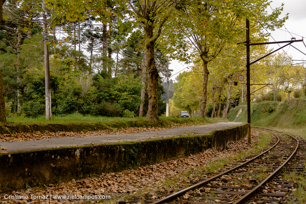 Outono-2019-Cristiano-Tomaz-25321